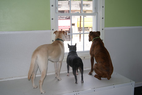 SONY DSC