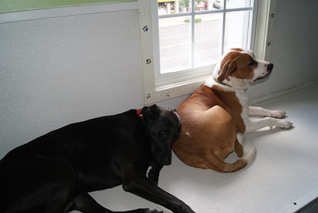 SONY DSC