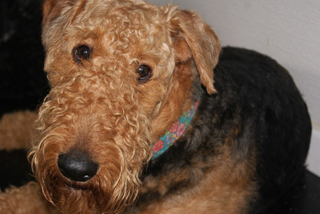 SONY DSC
