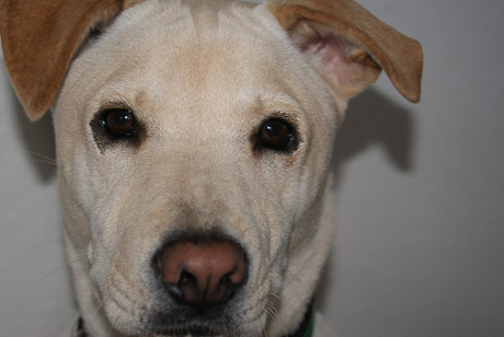 SONY DSC