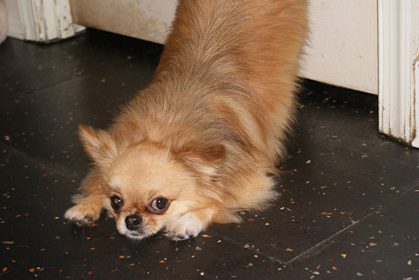 SONY DSC